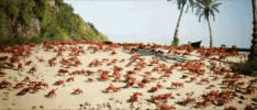 7fac2452dca5ab3c0c3db543a2724212.gif