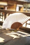 korean-traditional-folding-fan.jpg