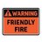 FriendlyFireDept