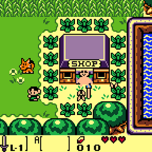 The Legend of Zelda - Tiger's Awakening DX-231012-032712.png