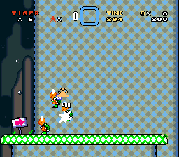 A Super Mario World Hack By Tiger21820 Special Tiger Edition!-220517-031735.png