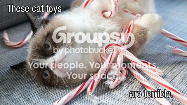 Grumpy_Cat_Candy_02.jpg
