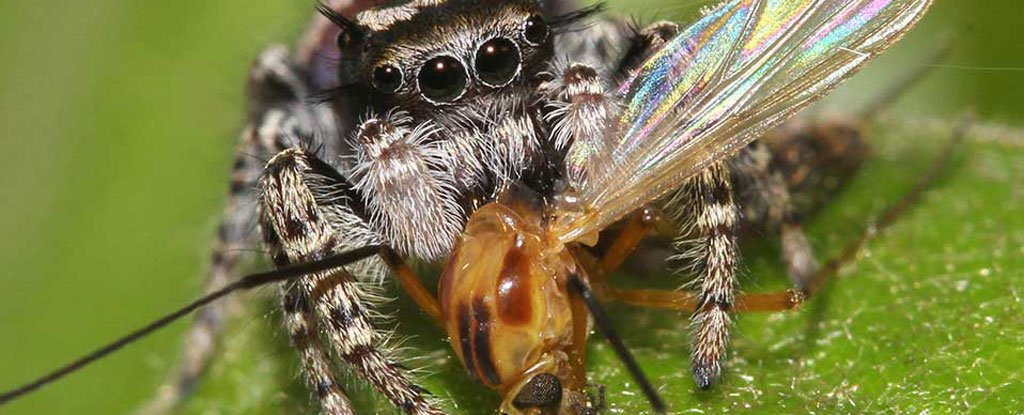 www.sciencealert.com